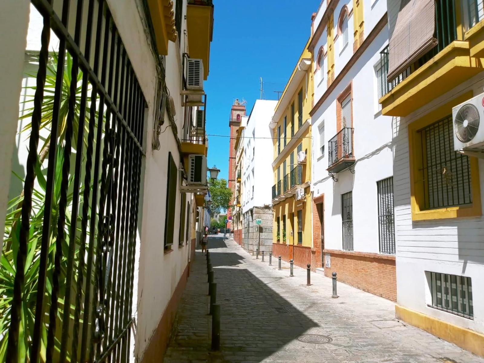 Accommodatie bij particulieren Roberta's Sevilla