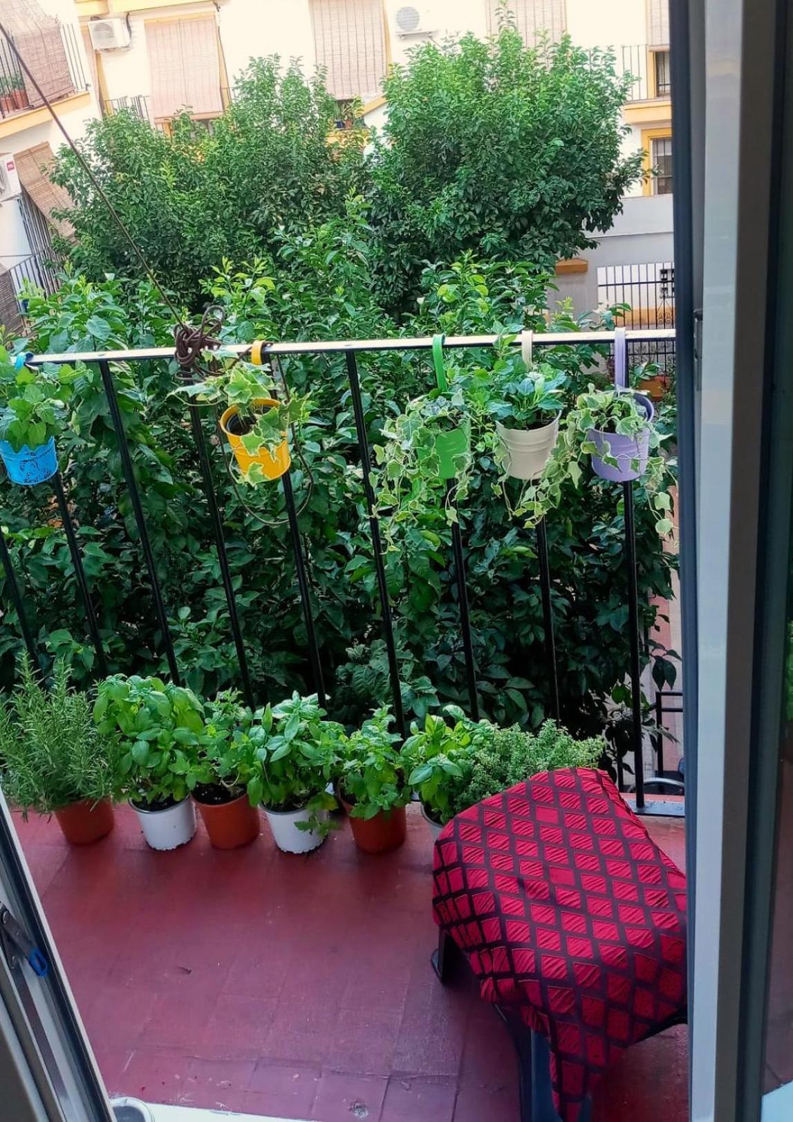Séjour chez l'habitant Roberta's
